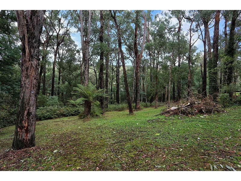 18 Glen Road, Cockatoo VIC 3781
