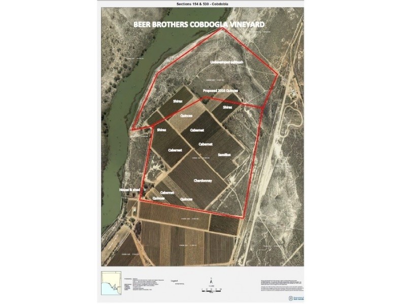 78 Clements Road, Cobdogla SA 5346