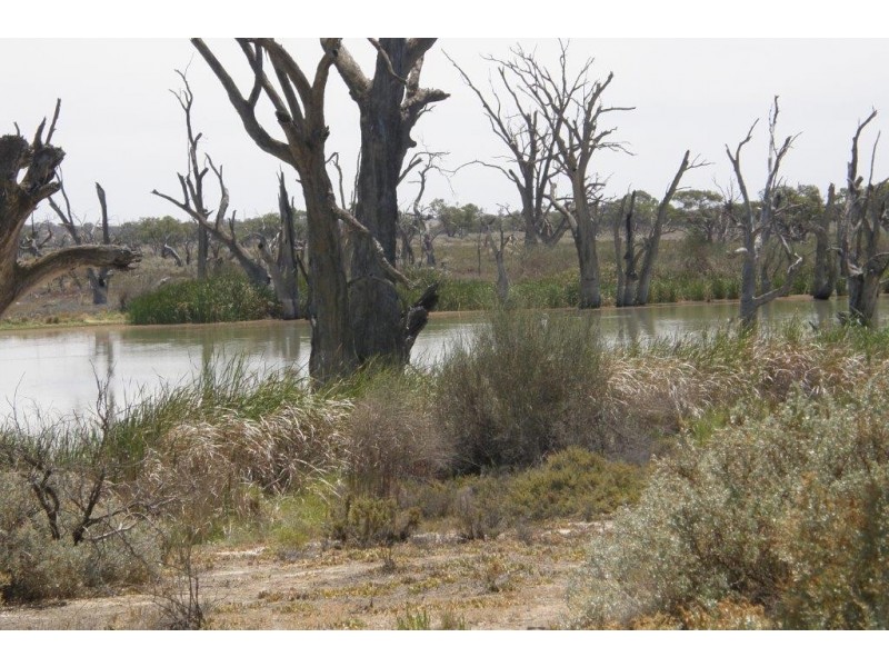 78 Clements Road, Cobdogla SA 5346