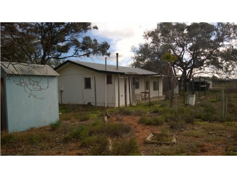 78 Clements Road, Cobdogla SA 5346
