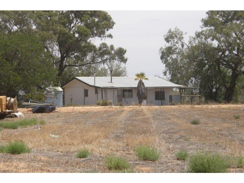 78 Clements Road, Cobdogla SA 5346