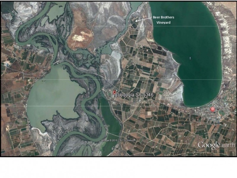 78 Clements Road, Cobdogla SA 5346