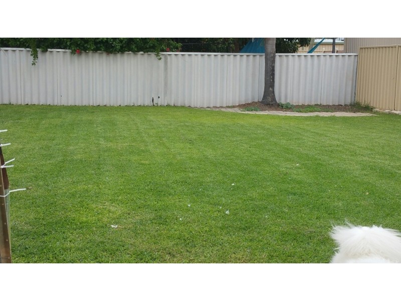 42 Poad Street, Seville Grove WA 6112