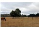 267 Mckeons Creek Road, Edith NSW 2787
