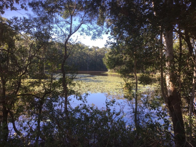 200 Schnapper Beach Rd, Urunga NSW 2455