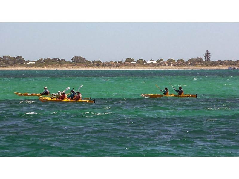 50 Penguin Road, Shoalwater WA 6169