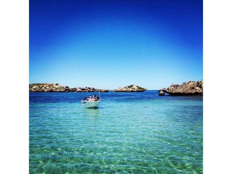 50 Penguin Road, Shoalwater WA 6169