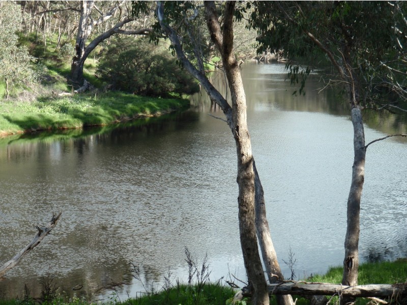 19 West Blackwood Terrace, Bridgetown WA 6255