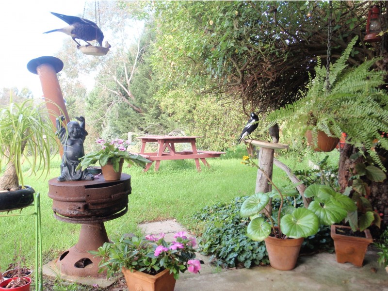 19 West Blackwood Terrace, Bridgetown WA 6255