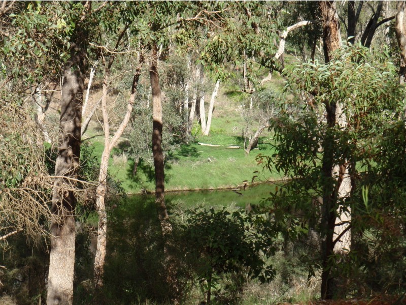 19 West Blackwood Terrace, Bridgetown WA 6255