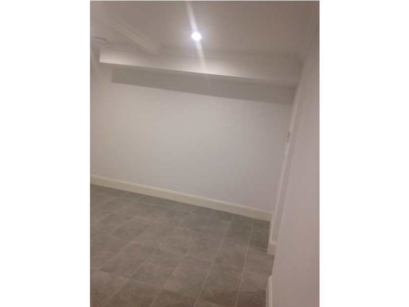 143A Goodlet Street, Surry Hills NSW 2010