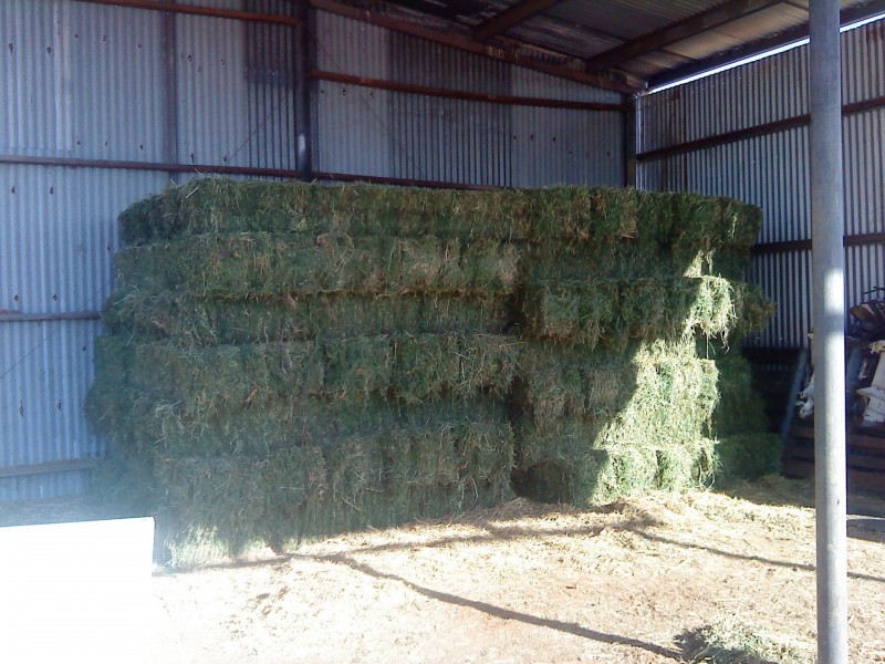 15485 Gregory Hwy, Clermont QLD 4721