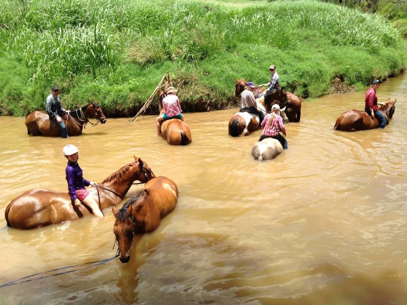 15485 Gregory Hwy, Clermont QLD 4721