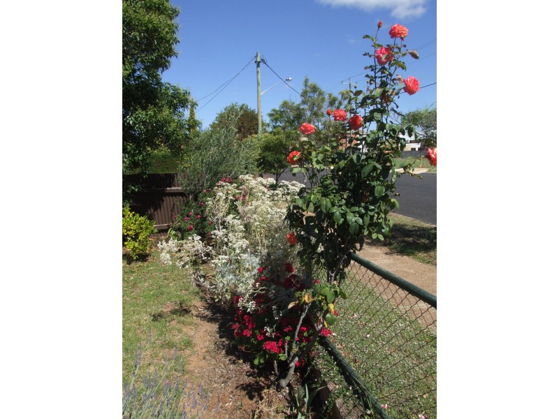 Wellington NSW 2820