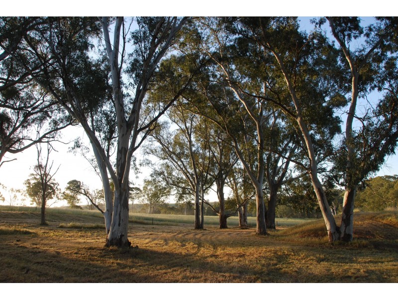 Allot 23 Woodlands Road, Cockatoo Valley SA 5351