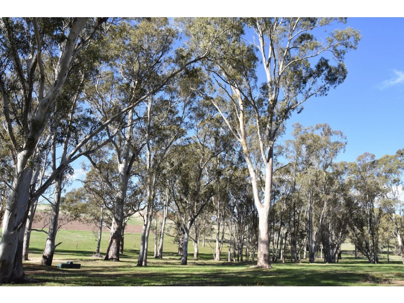 Allot 23 Woodlands Road, Cockatoo Valley SA 5351