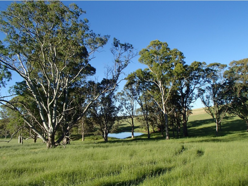 Allot 23 Woodlands Road, Cockatoo Valley SA 5351