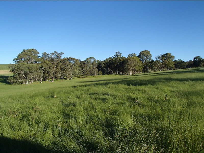 Allot 23 Woodlands Road, Cockatoo Valley SA 5351