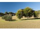 98 Mountain View Road, Moruya NSW 2537