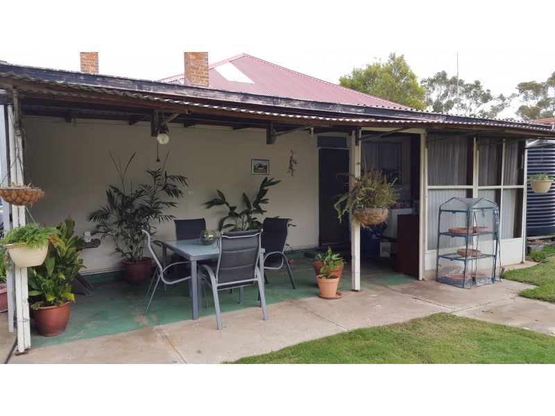 41 Daping St, Katanning WA 6317