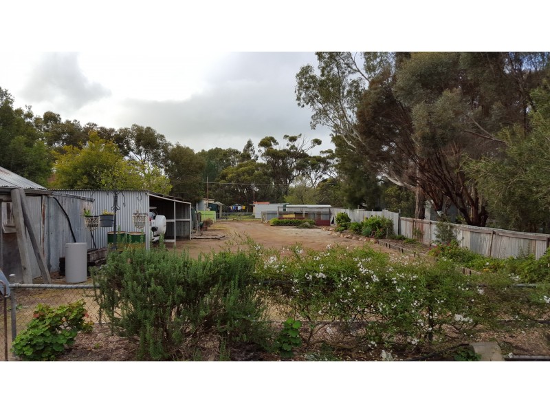 41 Daping St, Katanning WA 6317