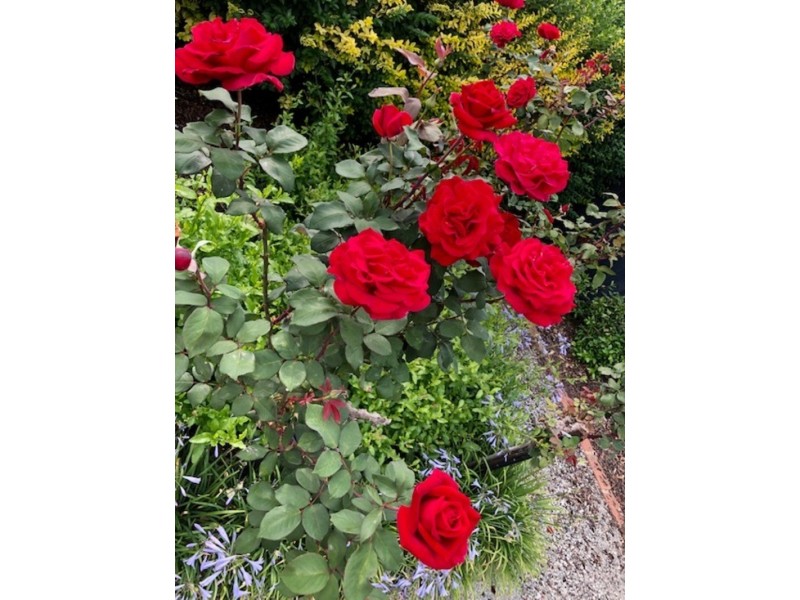 6 Park Street, Bairnsdale VIC 3875