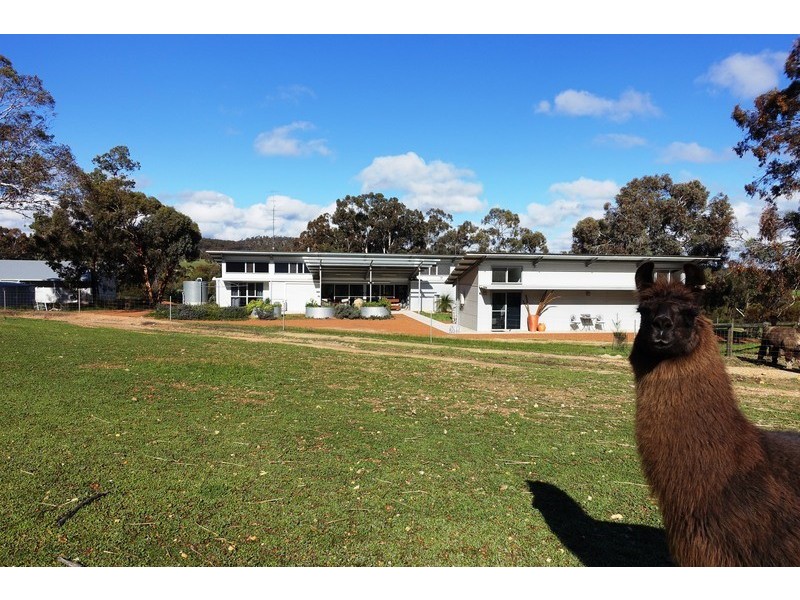 89 Hoddy Well Road, Hoddys Well WA 6566