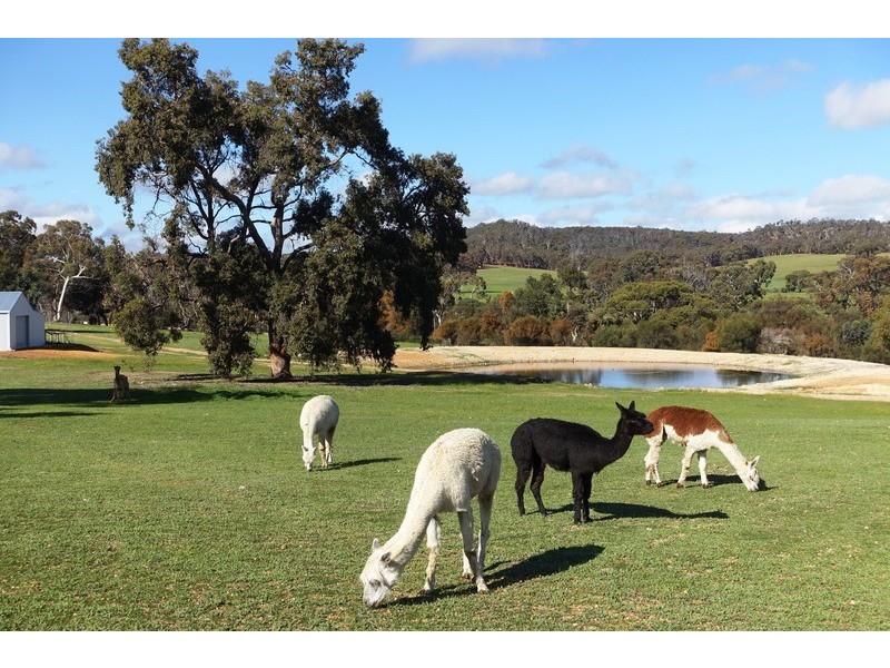 89 Hoddy Well Road, Hoddys Well WA 6566