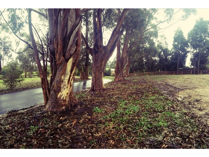 5 Oaks Court, Lysterfield South VIC 3156