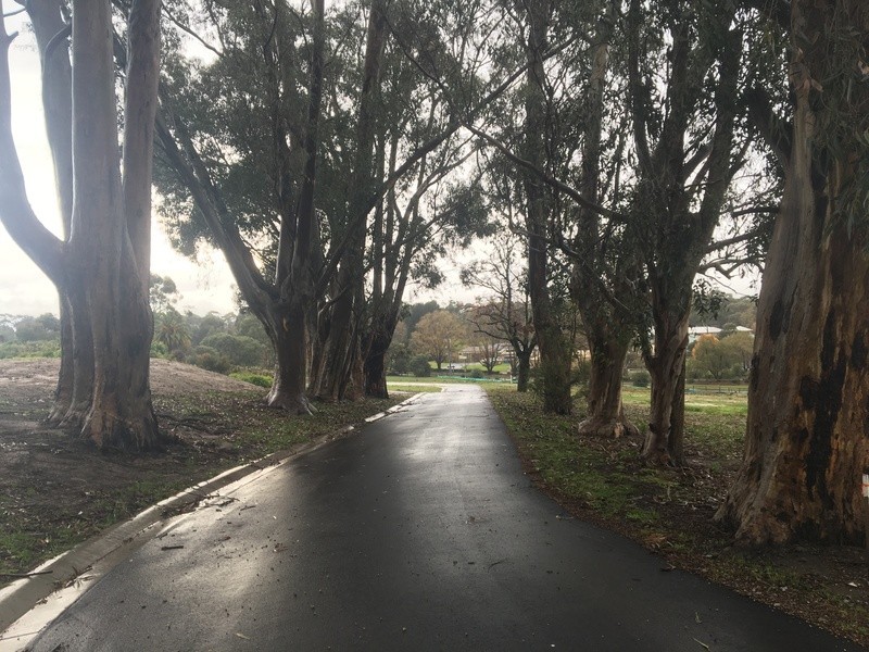 5 Oaks Court, Lysterfield South VIC 3156