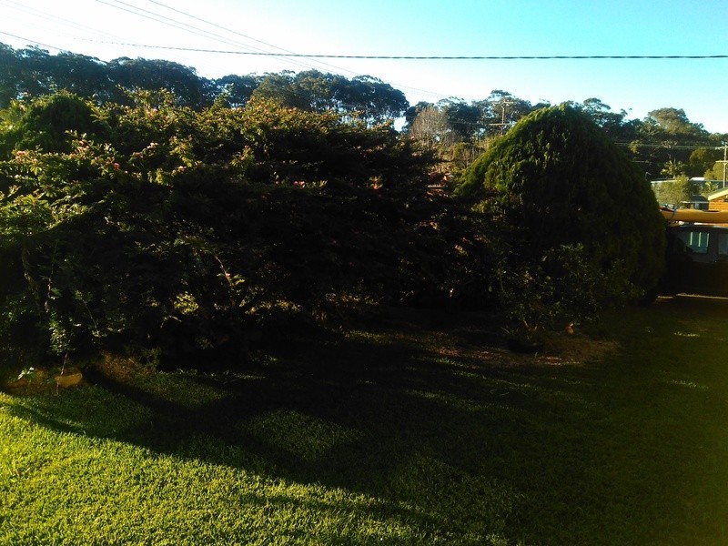 12 Dalpura Road, Wamberal NSW 2260