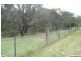 8 Coolamin Street, Wyee NSW 2259