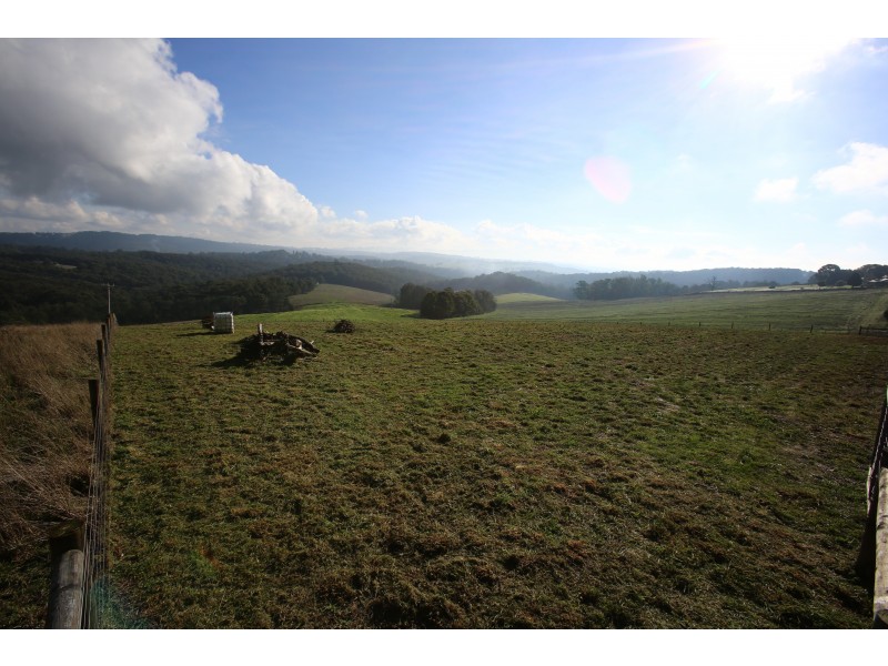 266 Mountain Road, Gembrook VIC 3783