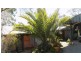 104-106  Haygarth Drive, Kooralbyn QLD 4285