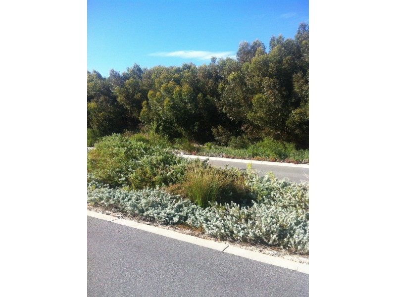 12 Moonlight Cres, Jurien Bay WA 6516