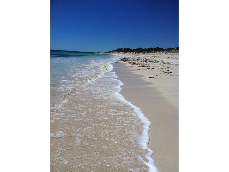 12 Moonlight Cres, Jurien Bay WA 6516