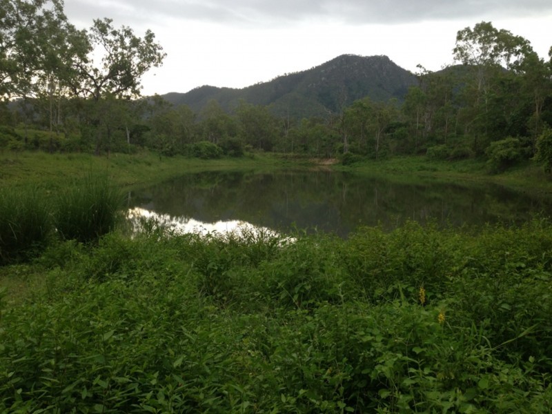 122 Page Road, Hervey Range QLD 4817