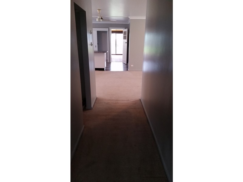 Werris Creek NSW 2341