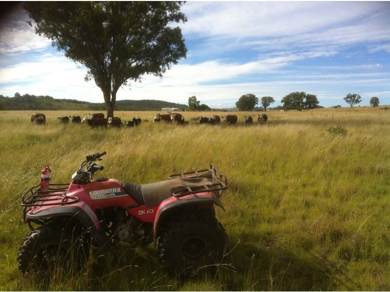 989 South Valley Road, Ashford NSW 2361