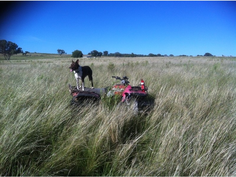 989 South Valley Road, Ashford NSW 2361