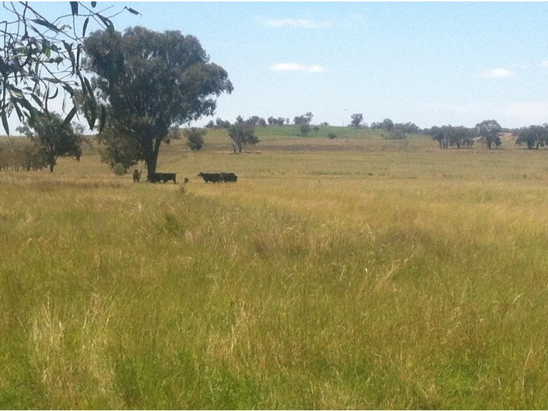 989 South Valley Road, Ashford NSW 2361