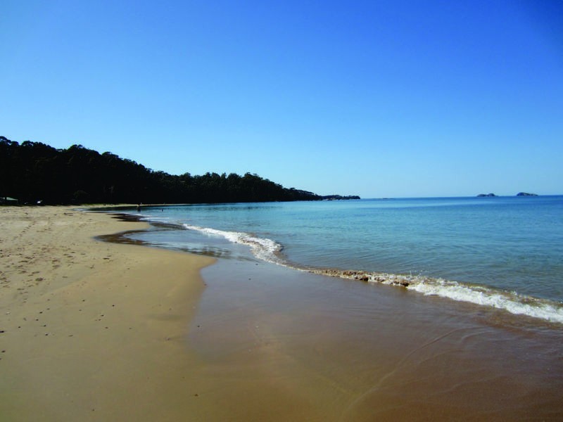 81 Long Beach Road, Long Beach NSW 2536