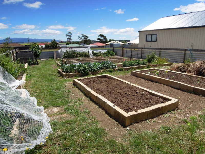 10 Jetson Court, Cressy TAS 7302