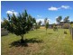 10 Jetson Court, Cressy TAS 7302