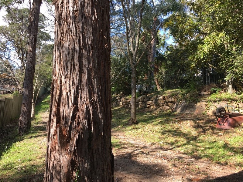 29  Nightingale Drive, Blaxland NSW 2774