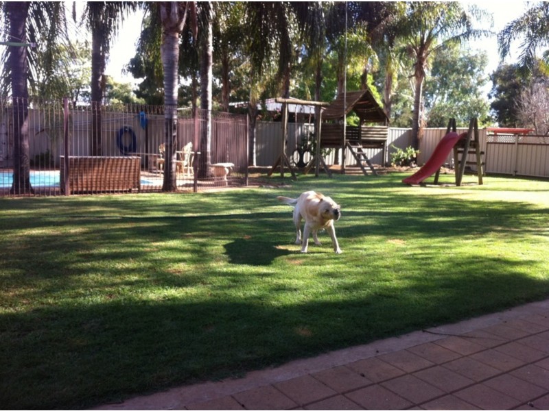 21 Hospital Road, Nyngan NSW 2825