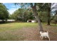8 Foxtail Court, Tallai QLD 4213