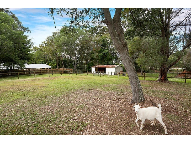 8 Foxtail Court, Tallai QLD 4213