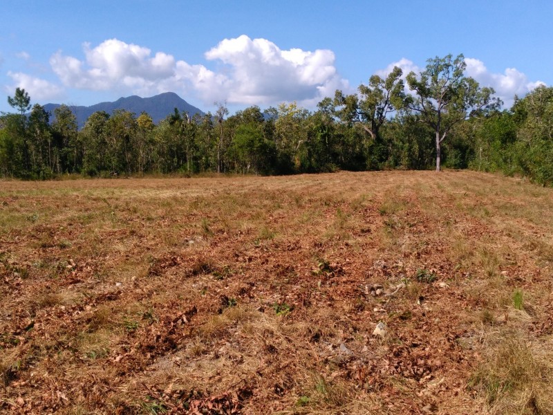 Lot: 6 Plan: C10416 Stony Creek Road, Cardwell QLD 4849