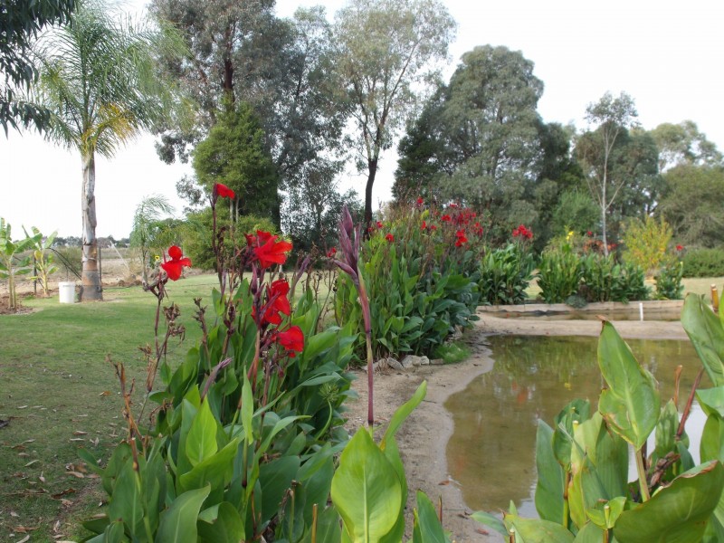 55 Honniball Drive, Tocumwal NSW 2714